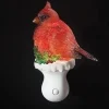 Cardinal Shimmer Night Light