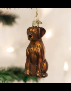 Chocolate Labrador Ornament
