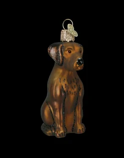 Chocolate Labrador Ornament