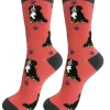 Full Body Bernese Mt. Dog Socks
