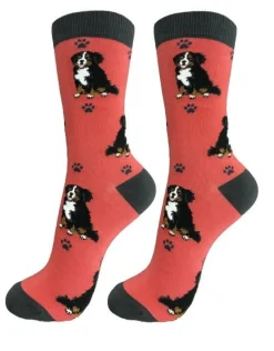 Full Body Bernese Mt. Dog Socks