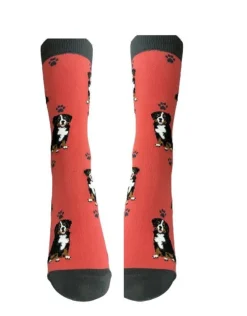 Full Body Bernese Mt. Dog Socks