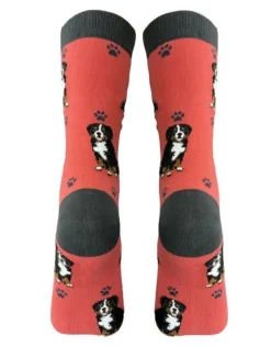 Full Body Bernese Mt. Dog Socks