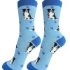 Full Body Border Collie Socks