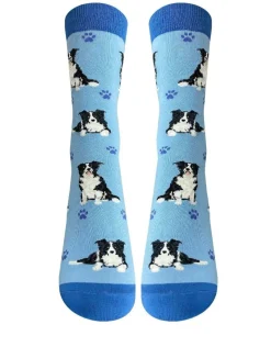 Full Body Border Collie Socks
