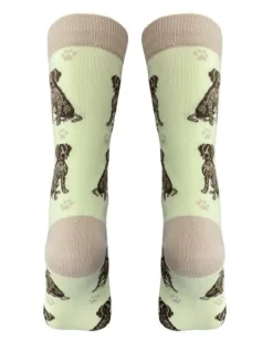 Full Body German Shorthair Pointer Socks