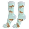 Full Body King Charles Cavalier Socks