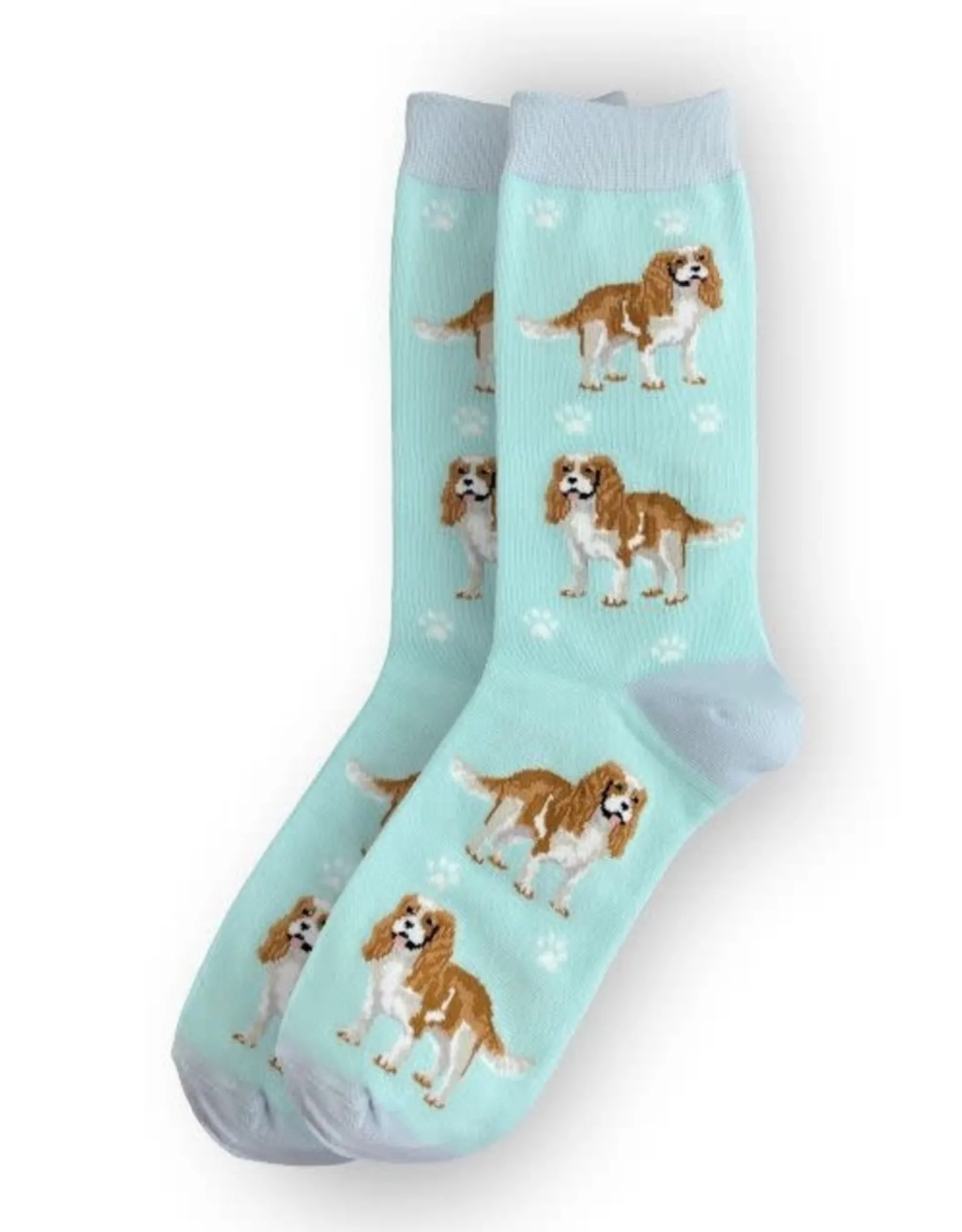 Full Body King Charles Cavalier Socks