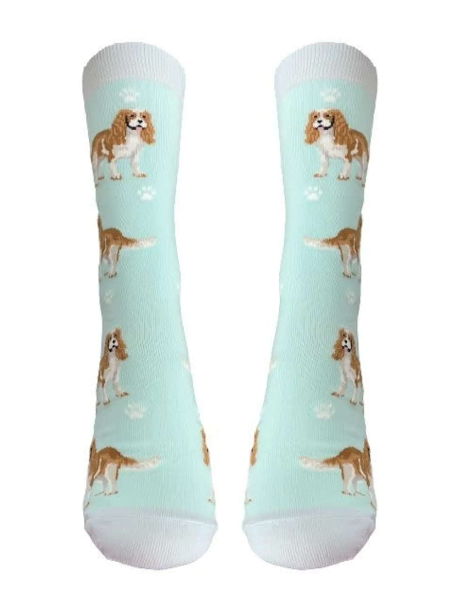 Full Body King Charles Cavalier Socks