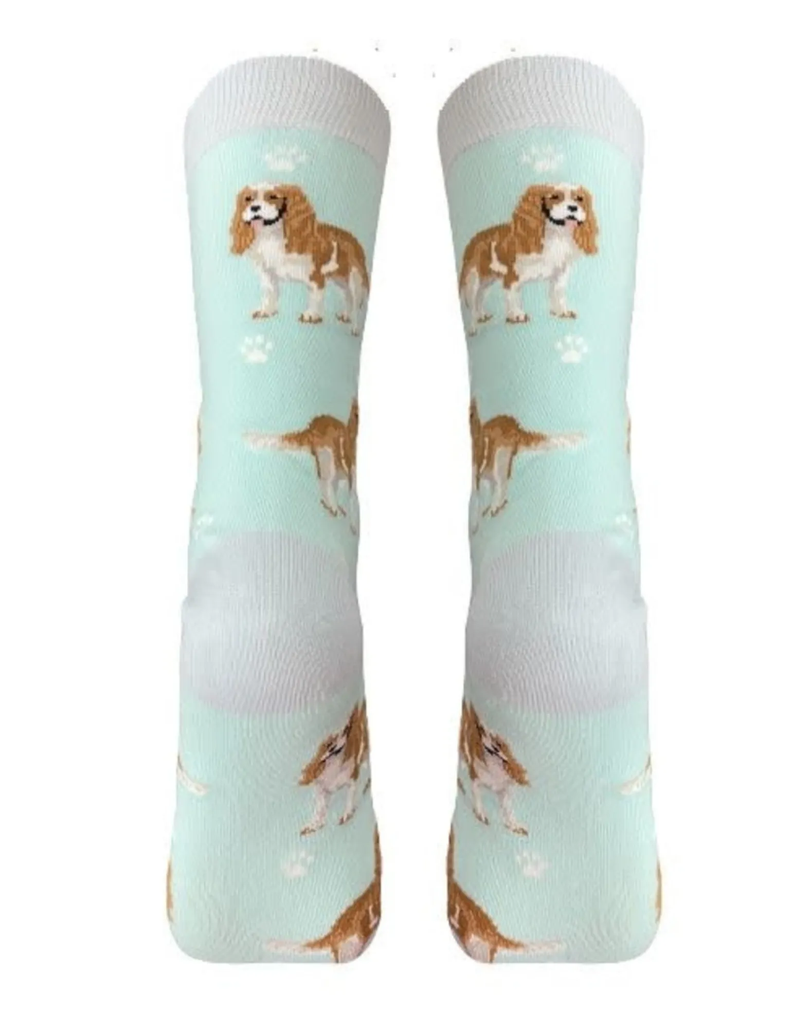 Full Body King Charles Cavalier Socks