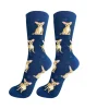 Full Body Tan Chihuahua Socks