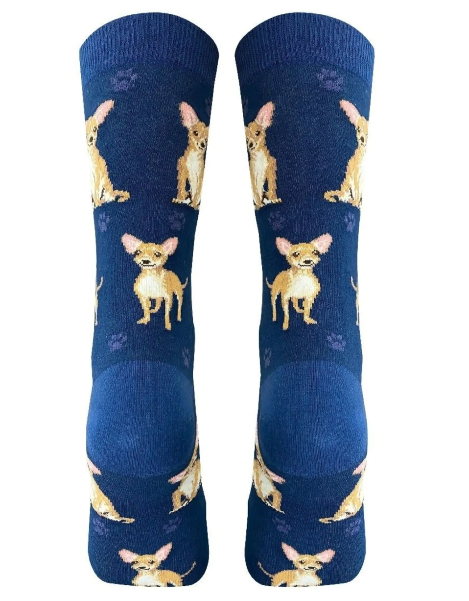 Full Body Tan Chihuahua Socks