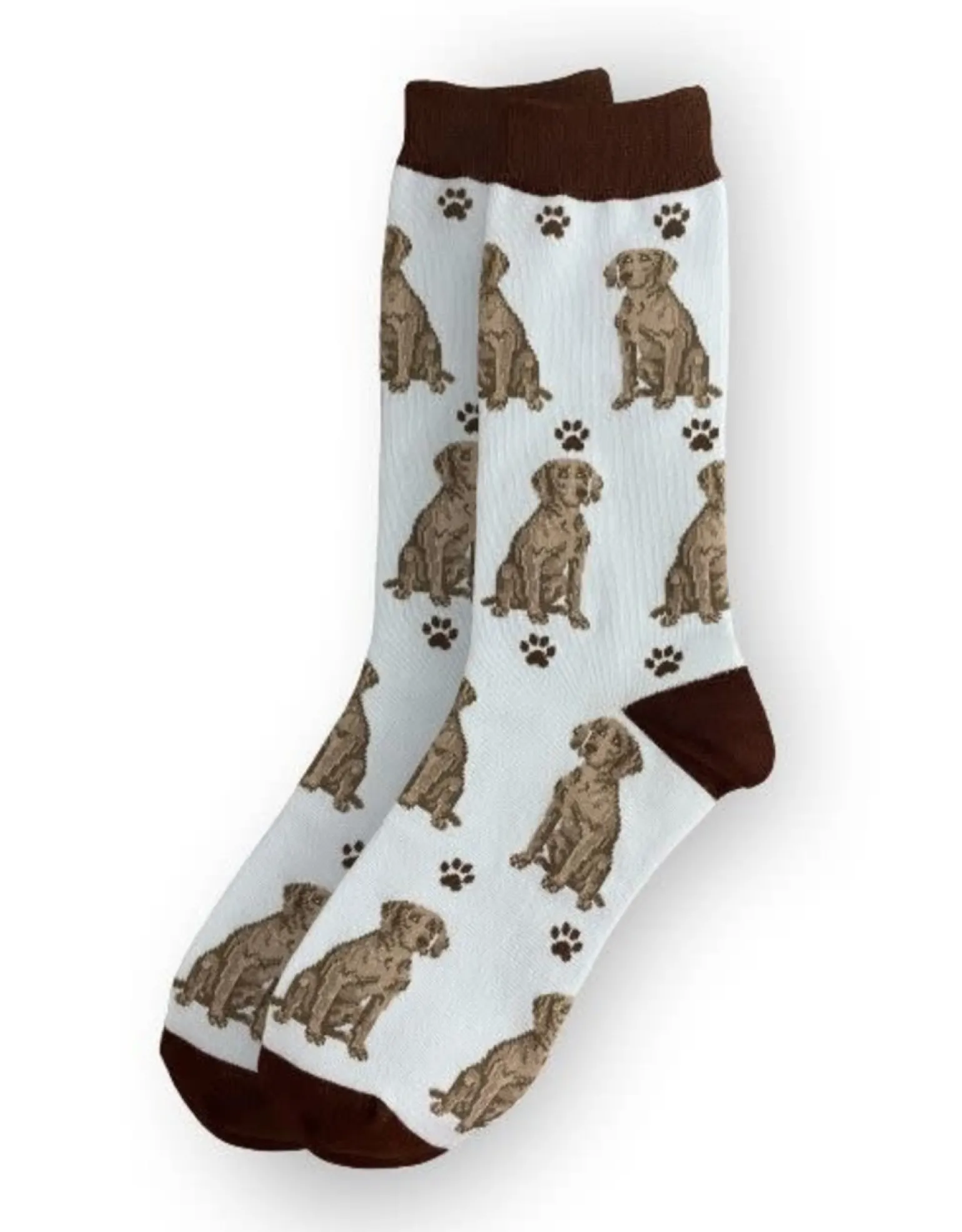 Full Body Weimaraner Socks