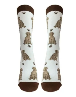 Full Body Weimaraner Socks