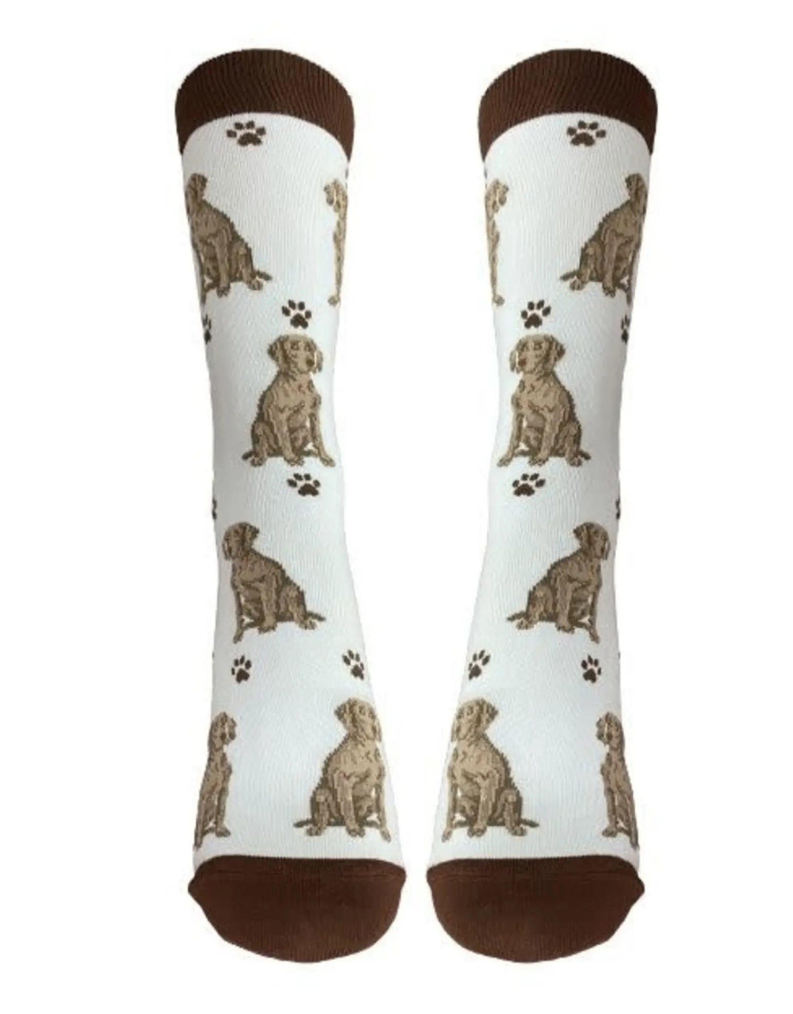 Full Body Weimaraner Socks