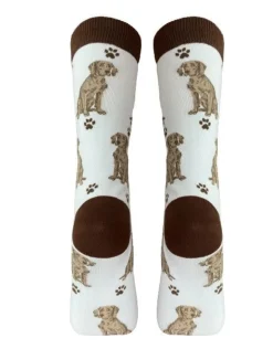 Full Body Weimaraner Socks