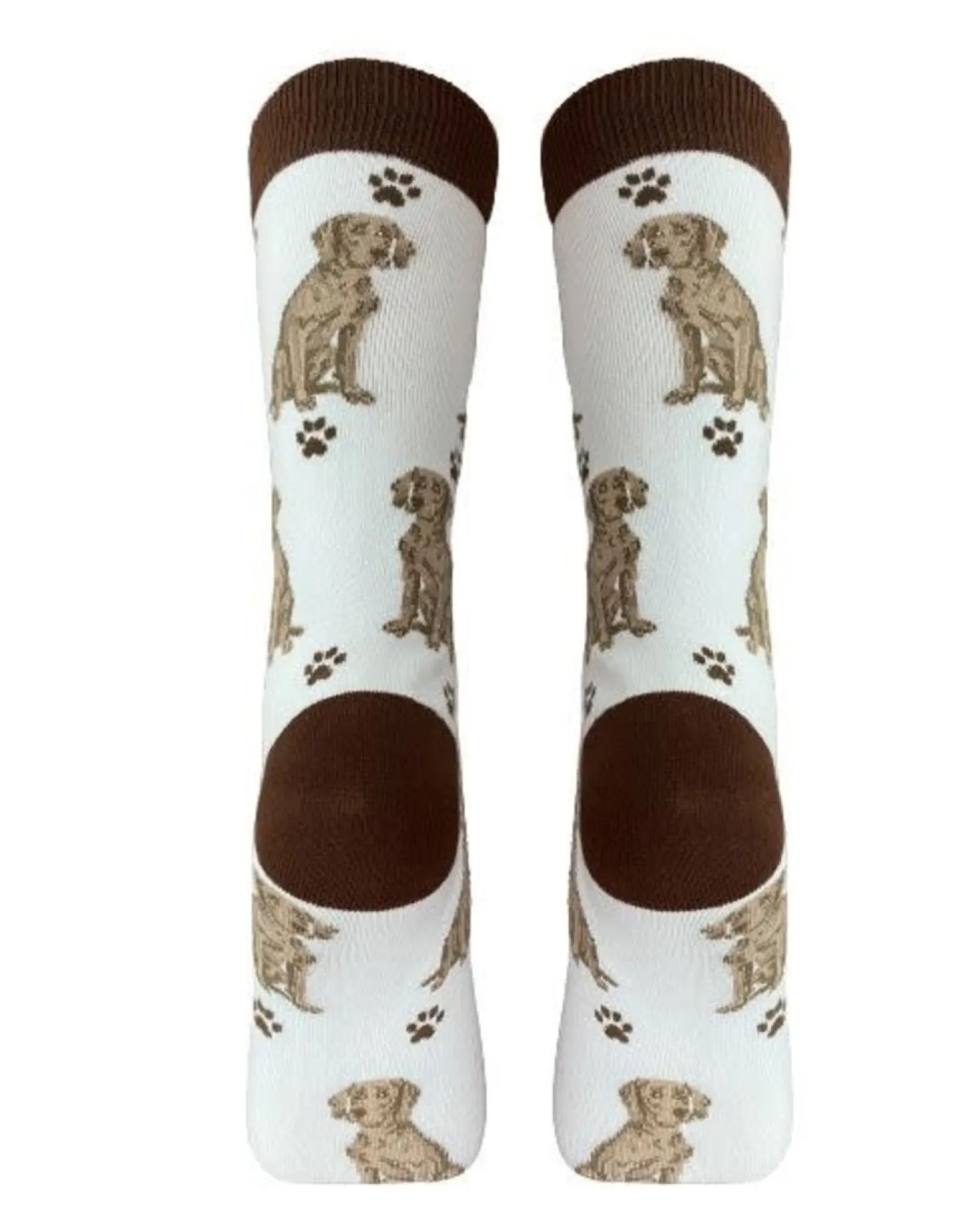 Full Body Weimaraner Socks