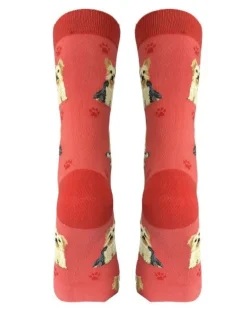 Full Body Yorkie Socks