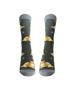 Full Orange Tabby Cat Socks