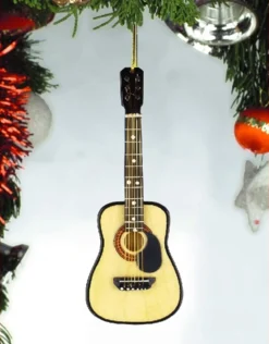 String Accoustic Guitar