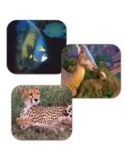 View-Master Discovery