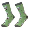 Wheaten Terrier Socks